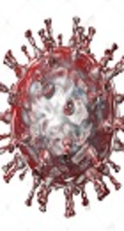 The Seroprevalence of Varicella Zoster Virus in a Healthy Population from Tehran, Iran